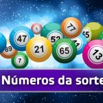 bingo e os números