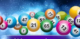 bingo e os números